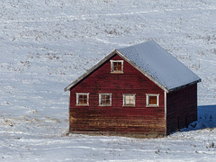 Snow + red barn = a happy day