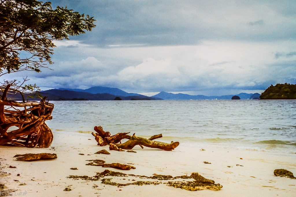 Driftwood on the Beach, Pulau Langkawi, Malaysia 1995