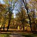 Herbst in Dresdens Großem Garten 09