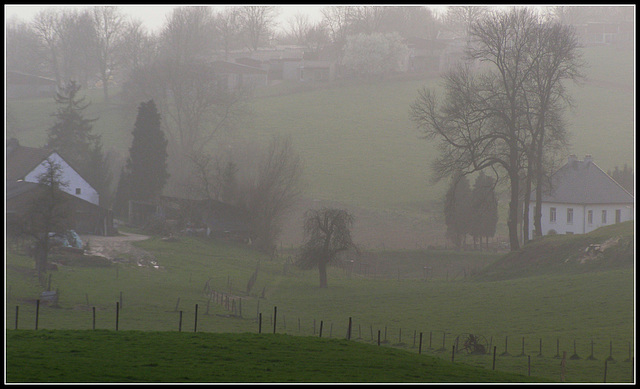 HFF-for everyone..friday  19-11-2021 -Misty  valley  fom Walem