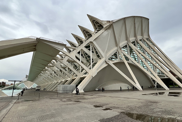Valencia 2022 – Ciutat de les Arts i les Ciències – Museu de les Ciències Príncipe Felipe