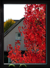 Herbst vor dem Fenster