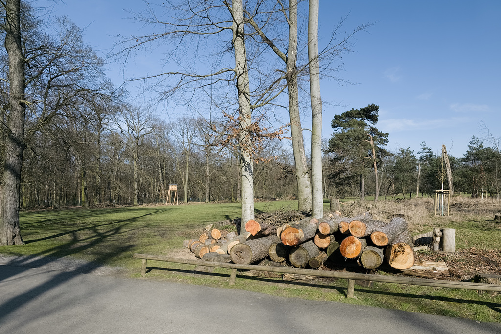 Köln - Lindenthaler Tierpark