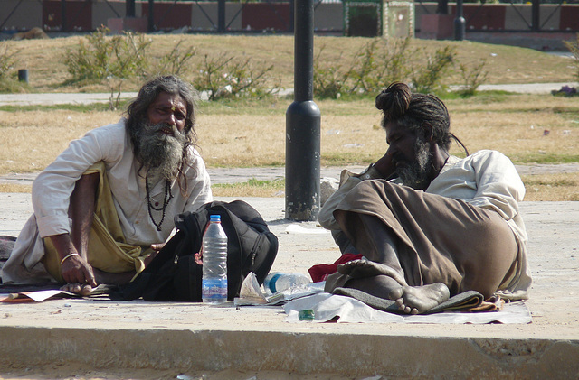 Down and Out in Jaipur