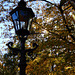 Herbst in Dresdens Großem Garten 10