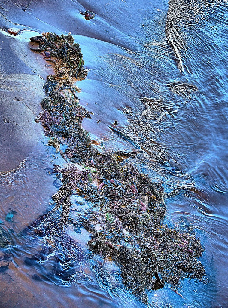 Like a map of Britain!