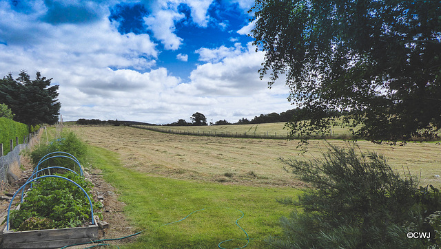 Well, that's my hay mown for this year!