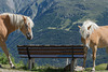 von der Gaislachalm nach Sölden (© Buelipix)