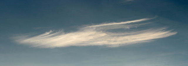 Herbstliche Federwolken