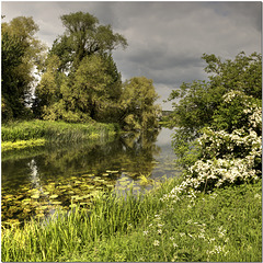 The River Nene, Northamptonshire