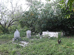 Cimetière des Caraïbes / Caribbean cemetery.