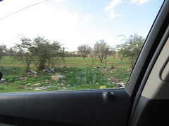 La plaine sud, avant Madaba.