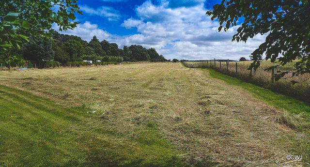 Well, that's my hay mown for this year!