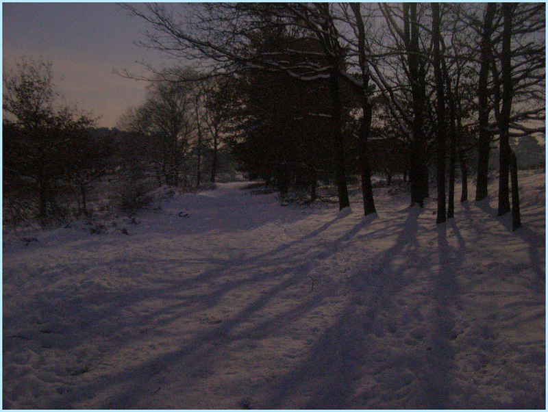 Ten o 'clock in the evening  by moonlight