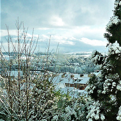 View from bedroom window - winter 2010 (2)