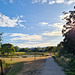 Summer wetlands