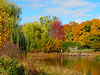 Fall Pond