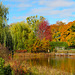 Fall Pond