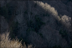 Escales de claror