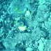PICT0353.JPG
