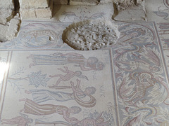 Madaba : mosaïque de l'église de la Vierge Marie.