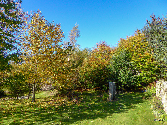 Sunny Autumn Monday - colours by the pond