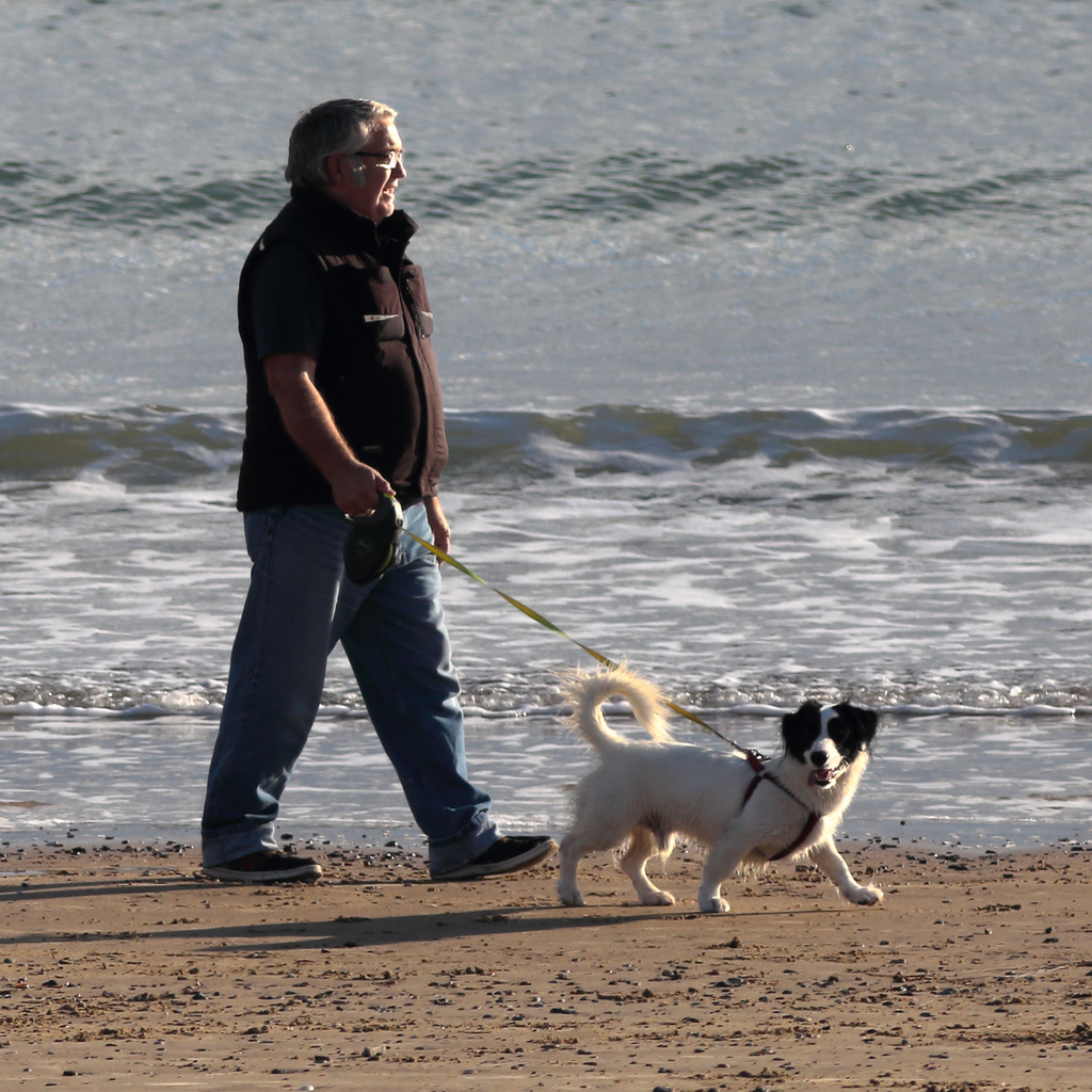 EOS 6D Peter Harriman 08 59 57 00205 Dogs dpp