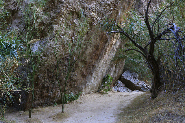 Santa Elena Canyon Trail