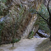 Santa Elena Canyon Trail