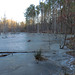 Ice on beaver pond