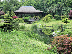 Bambouseraie d'Anduze (30) 21 juillet 2010. Le Jardin japonais.