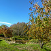 Sunny Autumn Monday - colours by the pond