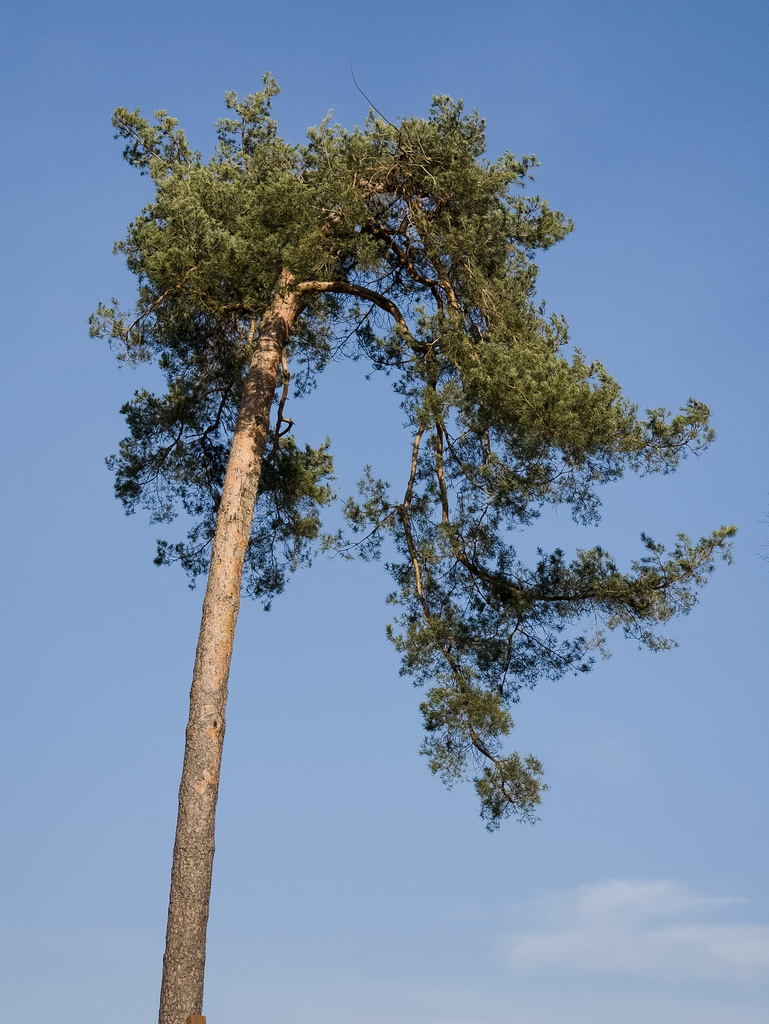 Köln - Lindenthaler Tierpark