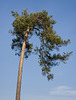 Köln - Lindenthaler Tierpark