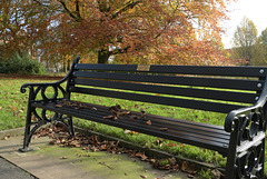 HBM ~ Another park bench