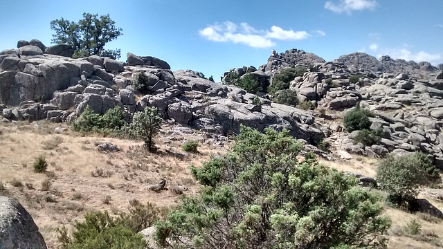 La Sierra de La Cabrera granite