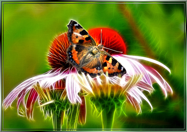 Real butterfly on virtual flower. ©UdoSm