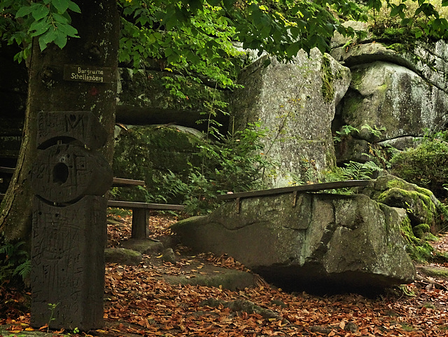 Beech. Eye. Bench.