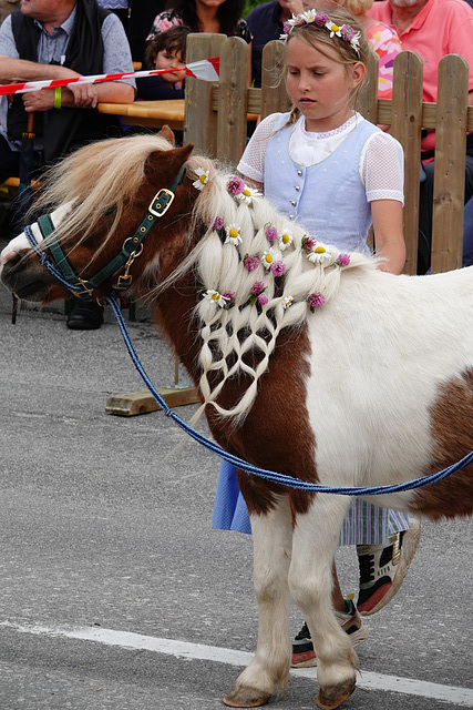 Pretty pony