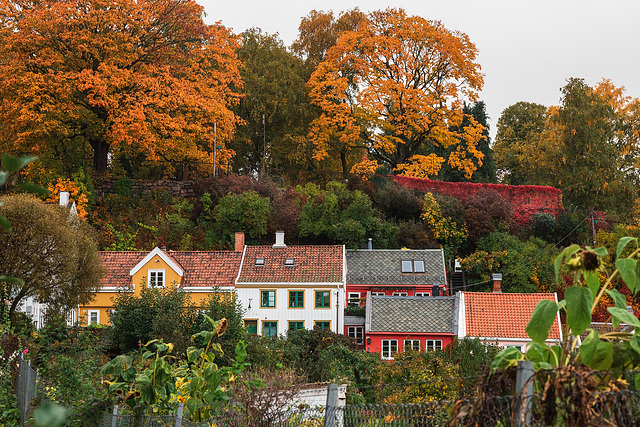 Oslo. Am Telthusbakken