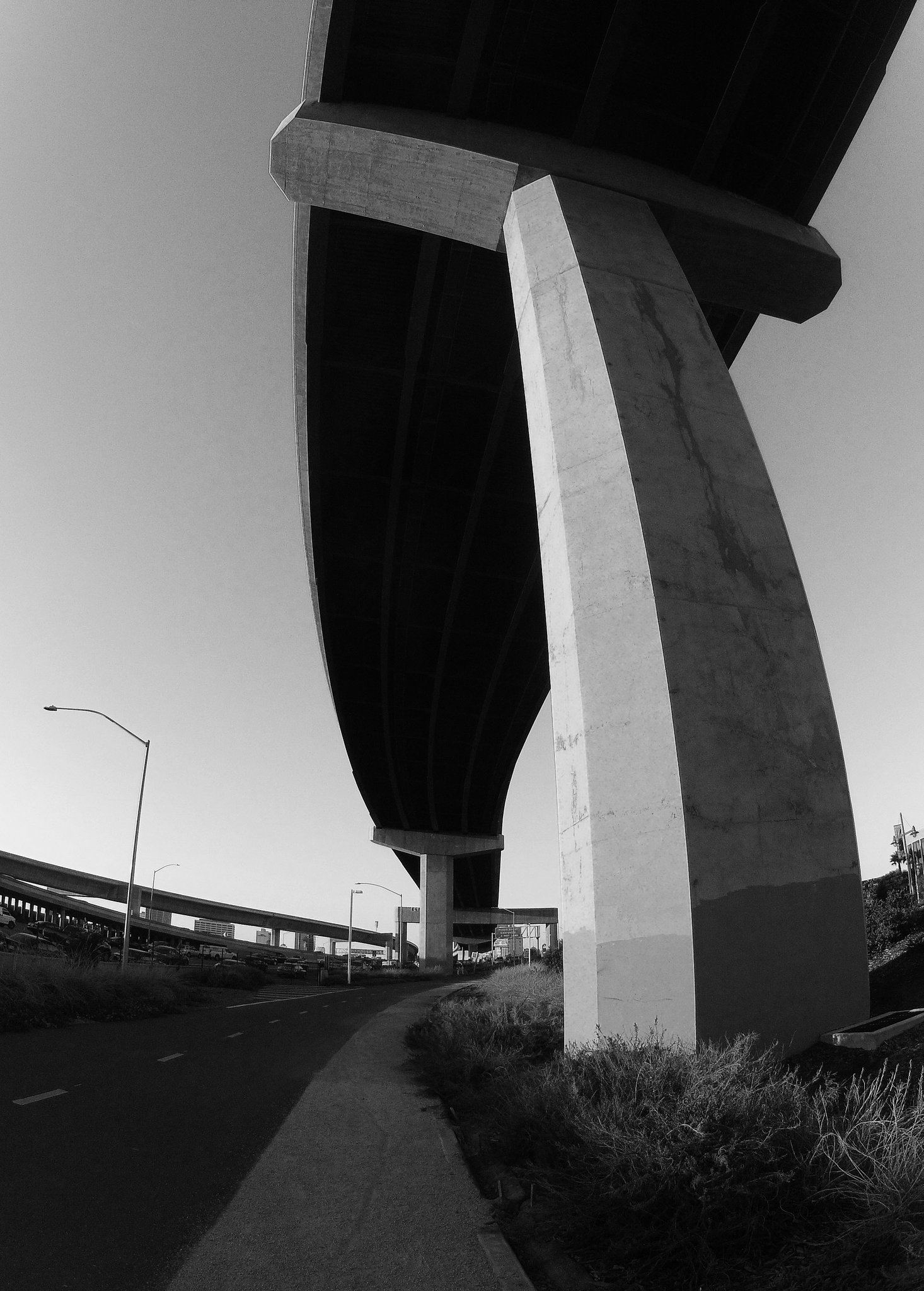 Alexander Zuckermann Bicycle-Pedestrian Path (0118A)