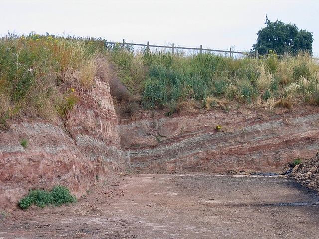 Cutting near the Church of St. Mary at Dunstall