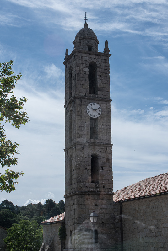 DSC 5015