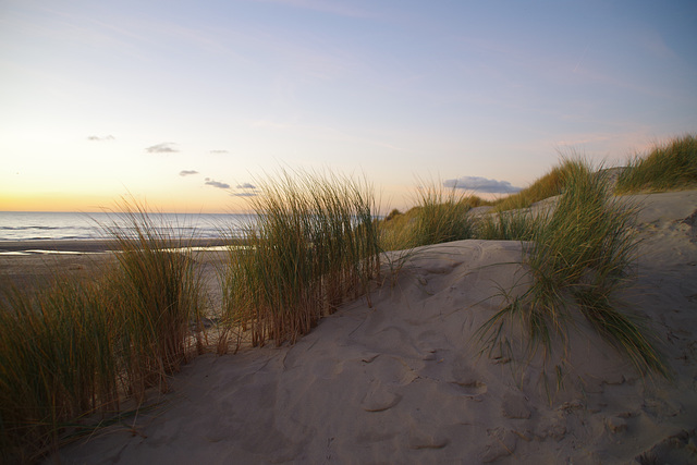 Entre mer et dunes !