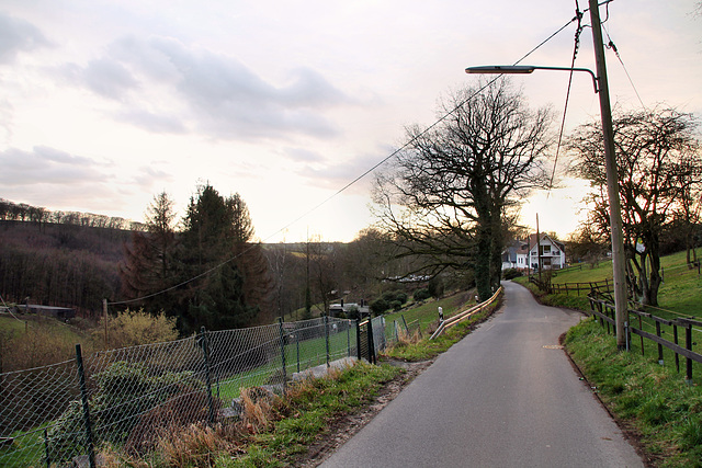 Wimmersberger Straße (Velbert-Tönisheide) / 5.02.2022