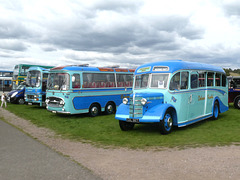 Johnson's Tours display at Showbus 50 - 25 Sep 2022 (P1130524)