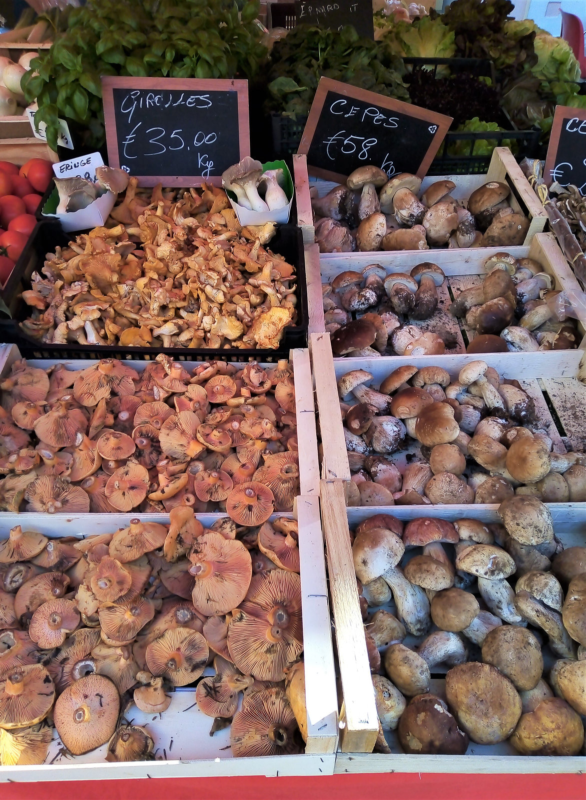 Le Marche de la Condamine, Monaco.