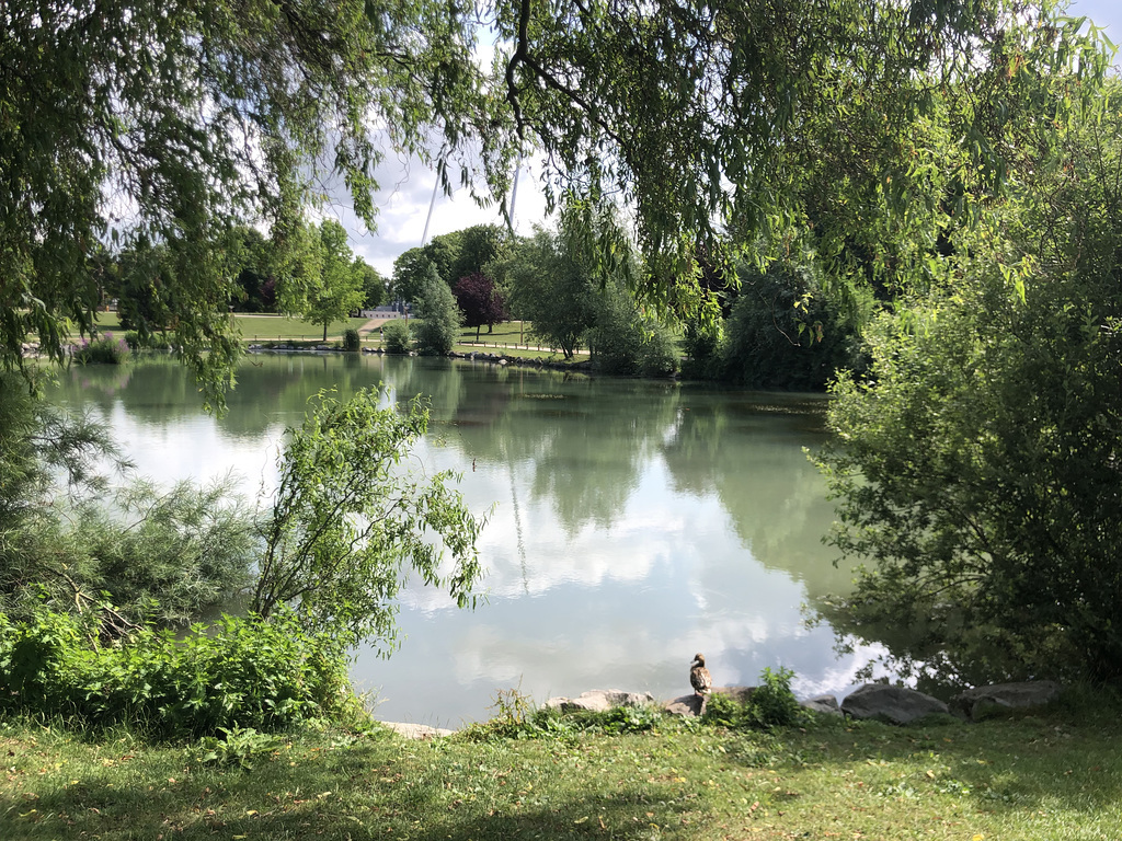 Parc Léo Lagrange Reims Hff