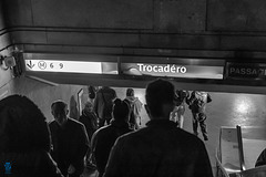 À travers le Paris nocturne