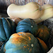 More Squash